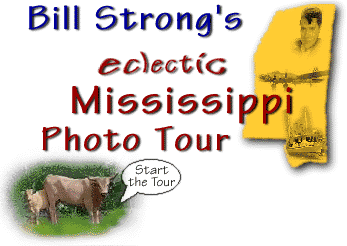 Bill Strong's Eclectic Mississippi Photo Tour